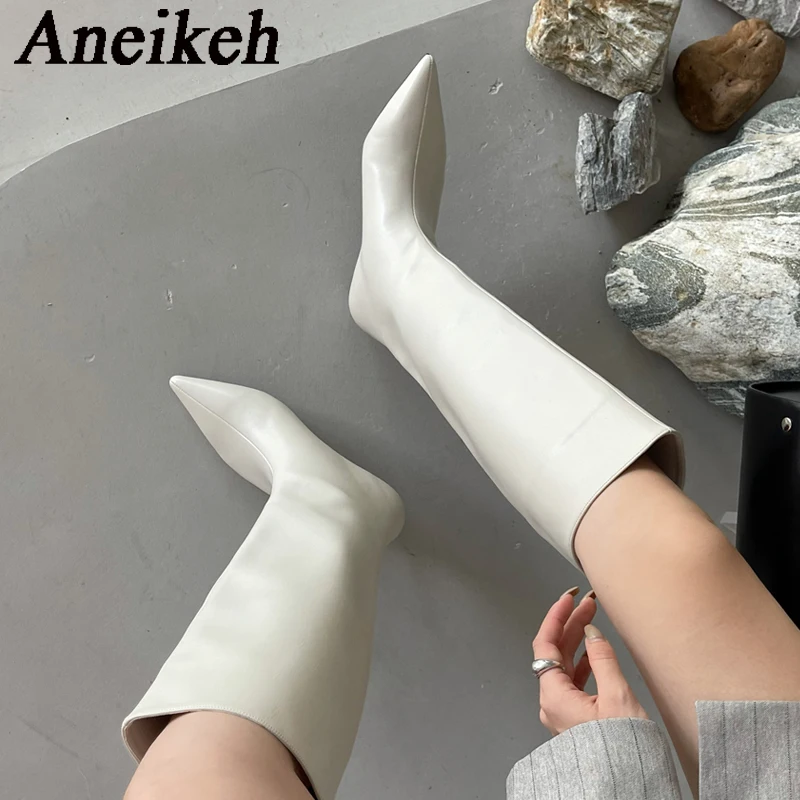 Aneikeh 2026 Fashion Sexy Poin - Women'S Fashion Knee High Boots review and price
