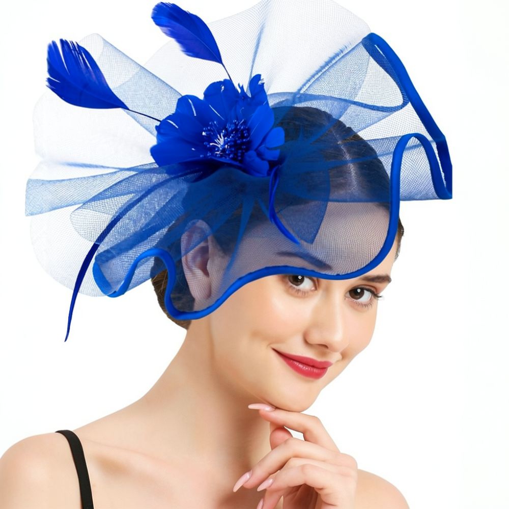 Fashion Mesh Feather Hair Acce - Women'S Fashion Kentucky Derby review and price